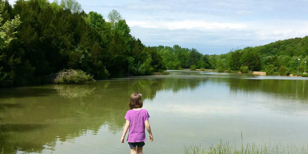 Exploring Hayswood Park: A Hidden Gem for Nature Lovers hayswood park