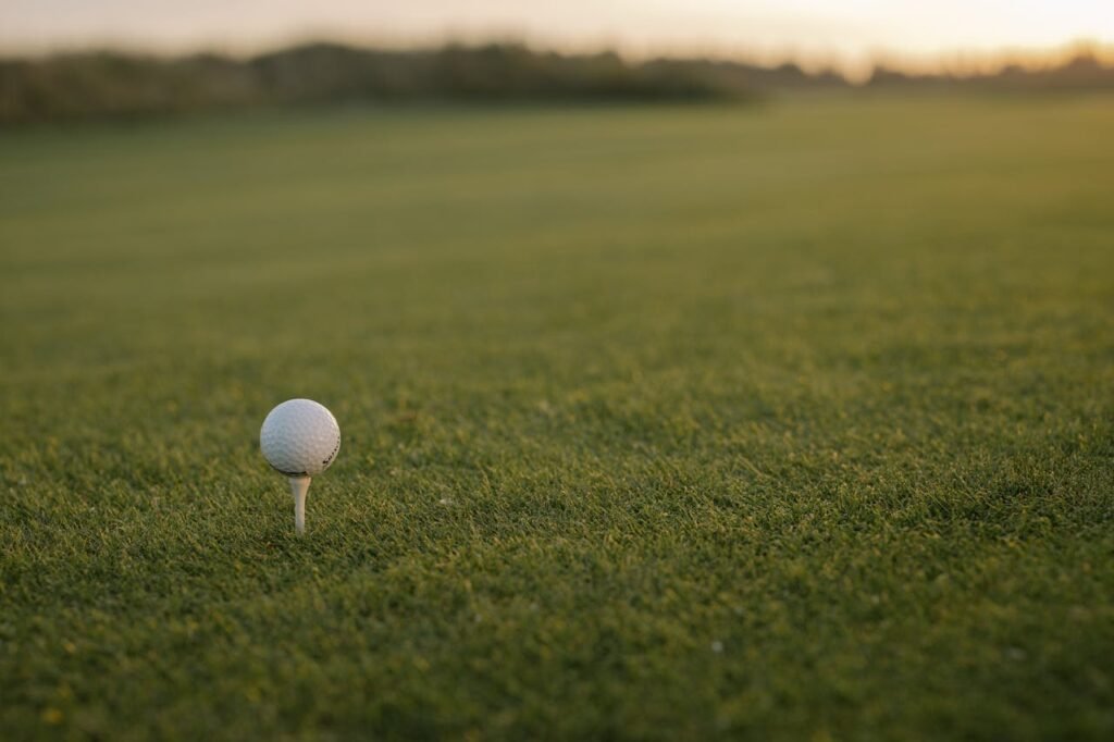 A Comprehensive Guide to the Features of Tunix Golf Course tunix golf course